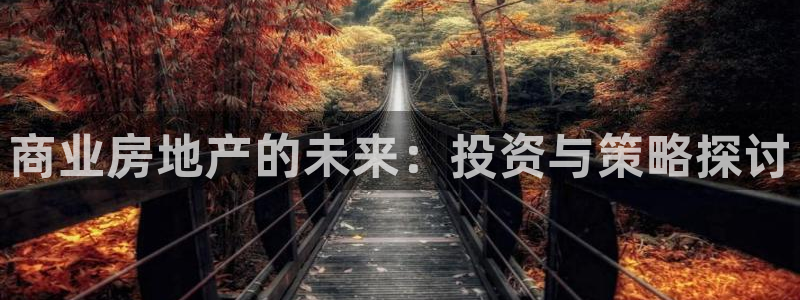 新宝5测速平台登录：商业房地产的未来：投资与策略探讨