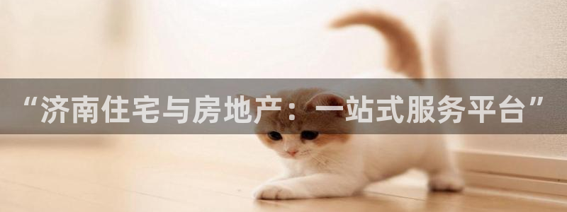 新宝5登录霸：“济南住宅与房地产：一站式服务平台”