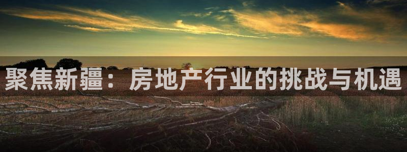 股票5G宝新：聚焦新疆：房地产行业的挑战与机遇