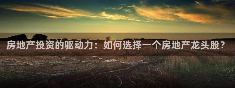 新宝5测速登录：房地产投资的驱动力：如何选择一个房地产龙头股