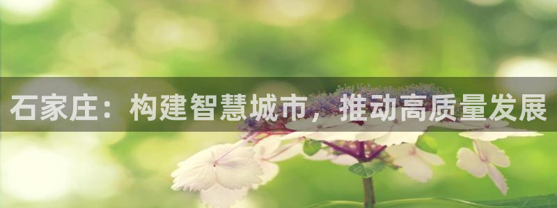 新宝5注册流程：石家庄：构建智慧城市，推动高质量发展
