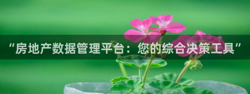 新宝5登录界面：“房地产数据管理平台：您的综合决策工具”