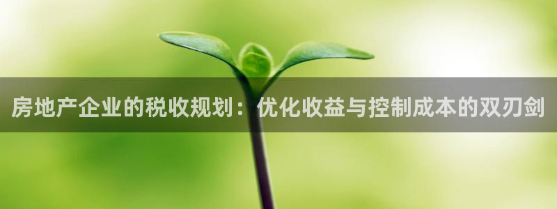 新宝5app手机下载：房地产企业的税收规划：优化收益与控制成