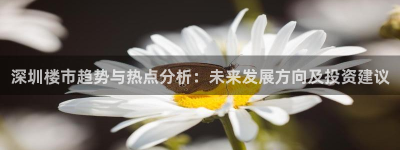 新宝5下载注册：深圳楼市趋势与热点分析：未来发展方向及投资建