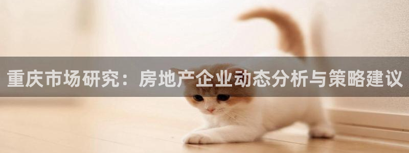 新宝5招商222111