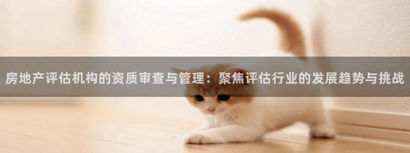 新宝5登录测速中心：房地产评估机构的资质审查与管理：聚焦评估