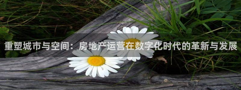皇冠新宝5