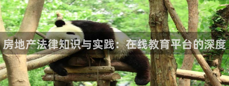 新宝5网：房地产法律知识与实践：在线教育平台的深度