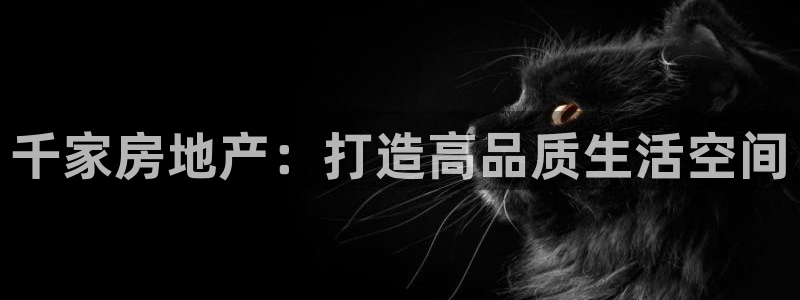 新宝5的网址：千家房地产：打造高品质生活空间