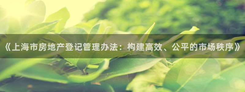 新宝5注册：《上海市房地产登记管理办法：构建高效、公平的市场