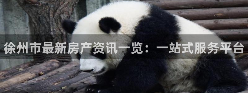 新宝5系列：徐州市最新房产资讯一览：一站式服务平台