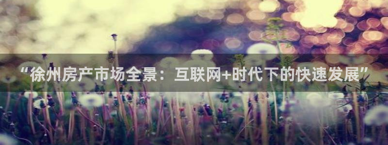 新宝5可靠吗：“徐州房产市场全景：互联网+时代下的快速发展”
