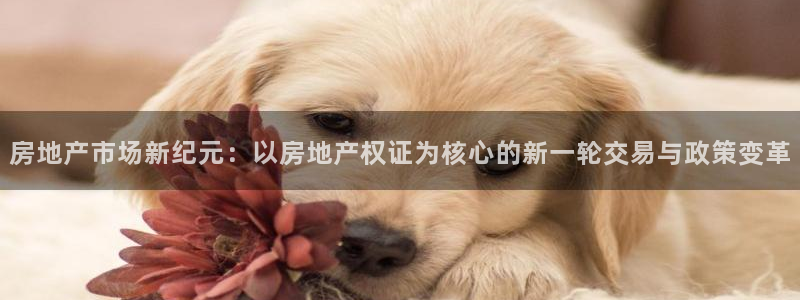 新宝5谠631257：房地产市场新纪元：以房地产权证为核心的
