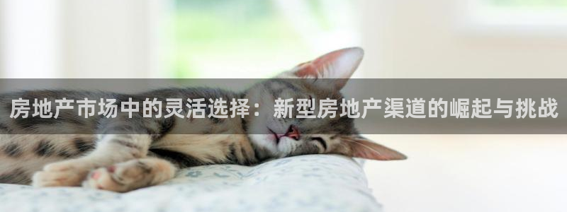 新宝h2O5O5O：房地产市场中的灵活选择：新型房地产渠道的