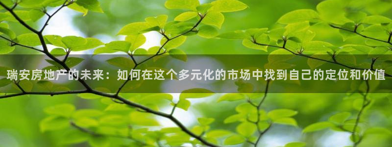 新宝5线路登录检测：瑞安房地产的未来：如何在这个多元化的市场