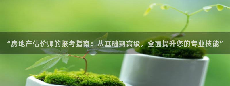 新宝5如何下载：“房地产估价师的报考指南：从基础到高级，全面