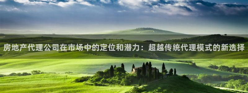 新宝5下载测试：房地产代理公司在市场中的定位和潜力：超越传统