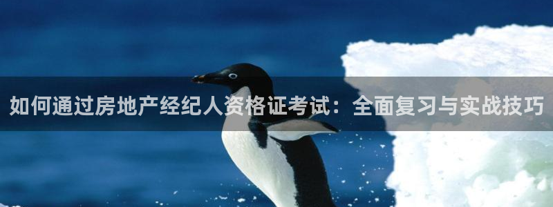 新宝5是什么：如何通过房地产经纪人资格证考试：全面复习与实战