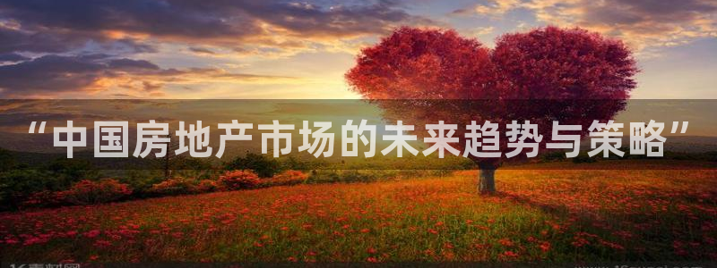 新宝5平台：“中国房地产市场的未来趋势与策略”