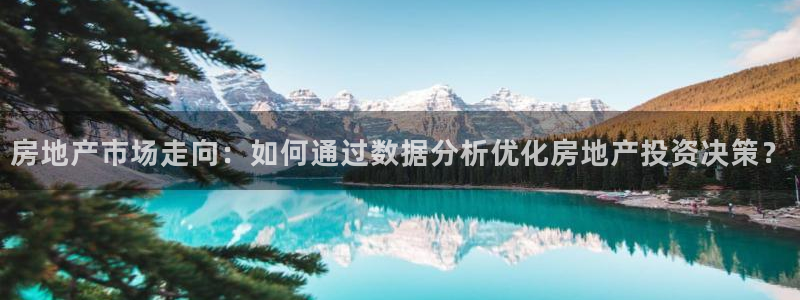 新宝5登录测速中心：房地产市场走向：如何通过数据分析优化房地