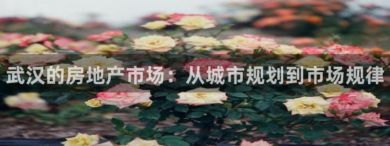 新宝xb5：武汉的房地产市场：从城市规划到市场规律