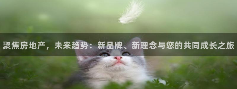 新宝3得74OO5：聚焦房地产，未来趋势：新品牌、新理念与您