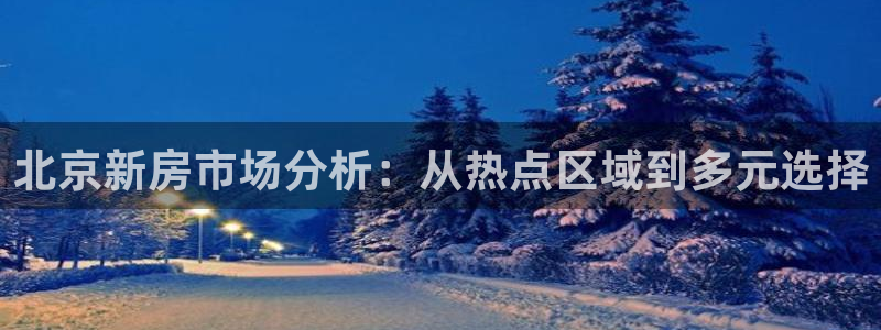 新宝5手机版：北京新房市场分析：从热点区域到多元选择