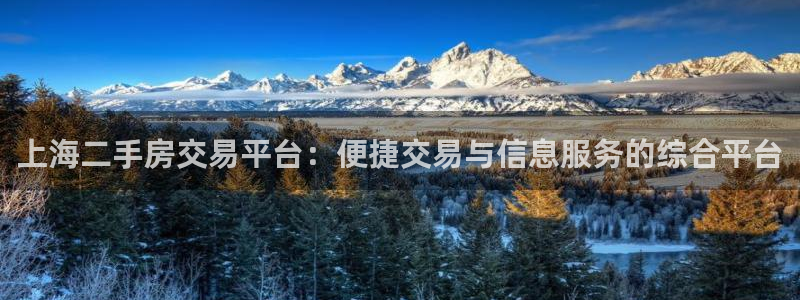 新宝5测速下载：上海二手房交易平台：便捷交易与信息服务的综合