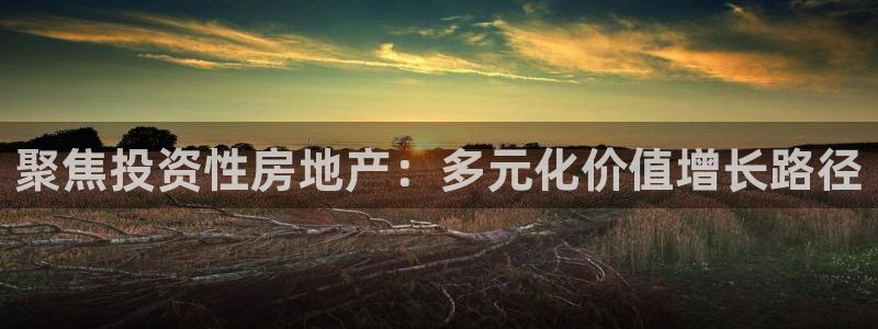 新宝5网址：聚焦投资性房地产：多元化价值增长路径