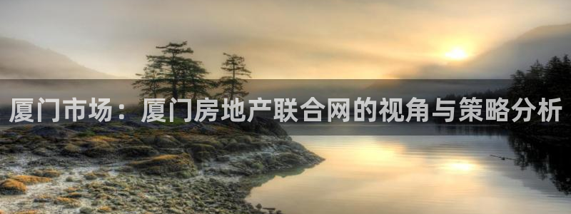 新宝5的网址：厦门市场：厦门房地产联合网的视角与策略分析