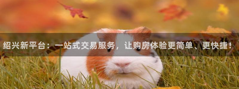 新宝5总代：绍兴新平台：一站式交易服务，让购房体验更简单、更