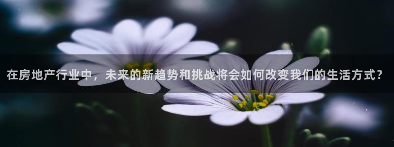 新宝5吕74OOO5：在房地产行业中，未来的新趋势和挑战将会