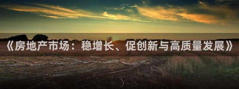 新宝5娱乐同：《房地产市场：稳增长、促创新与高质量发展》