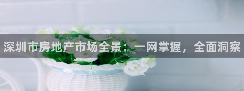新宝5招商222111：深圳市房地产市场全景：一网掌握，全面