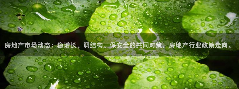 新宝5娱乐主管：房地产市场动态：稳增长、调结构、保安全的共同