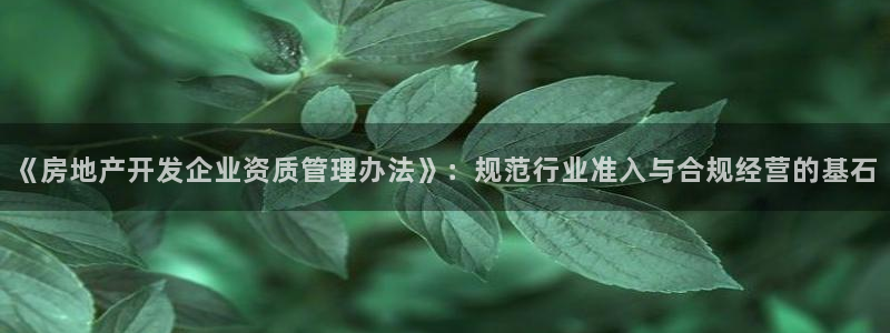 新宝5登录不了：《房地产开发企业资质管理办法》：规范行业准入