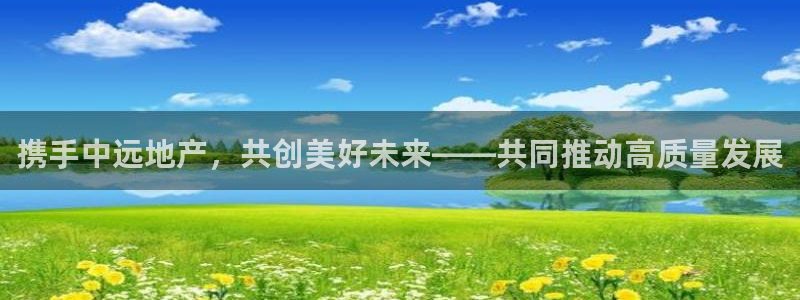 新宝5d：携手中远地产，共创美好未来——共同推动高质量发展