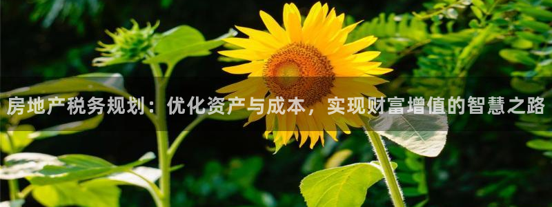 新宝5寻33 300球：房地产税务规划：优化资产与成本，实现