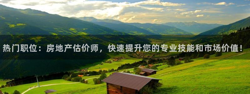 新宝5招商：热门职位：房地产估价师，快速提升您的专业技能和市