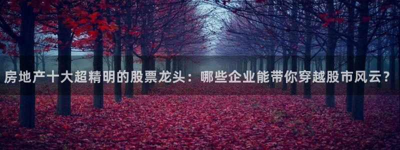 新宝5平台注册公司：房地产十大超精明的股票龙头：哪些企业能带