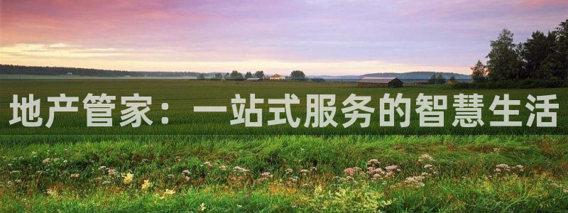 新宝5挂机：地产管家：一站式服务的智慧生活