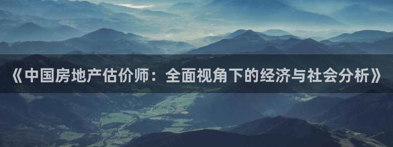 新宝5是什么样子的：《中国房地产估价师：全面视角下的经济与社