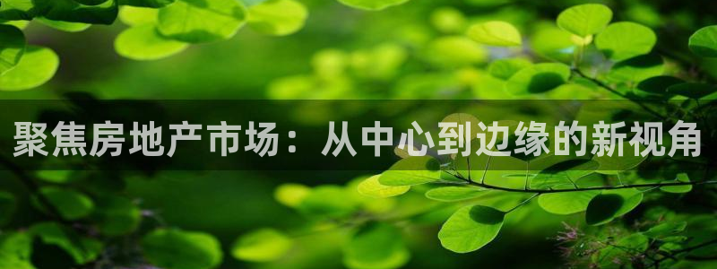 新宝5手机app：聚焦房地产市场：从中心到边缘的新视角