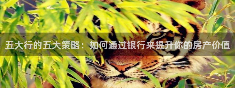 新宝5测速：五大行的五大策略：如何通过银行来提升你的房产价值