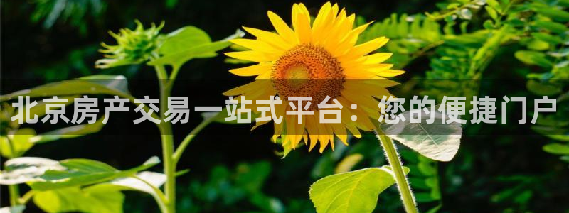 新宝5官方：北京房产交易一站式平台：您的便捷门户