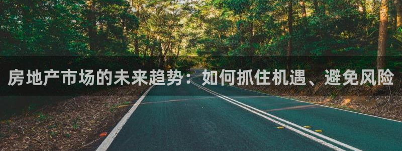 新宝6霸哥5：房地产市场的未来趋势：如何抓住机遇、避免风险