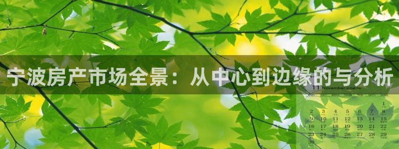 2022新宝骏rs 5：宁波房产市场全景：从中心到边缘的与分