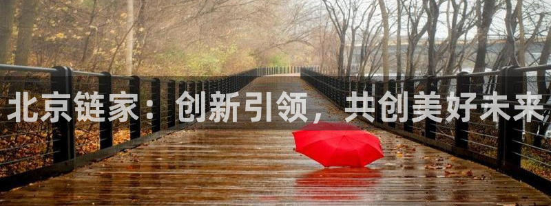 新宝5周74OOO5：北京链家：创新引领，共创美好未来