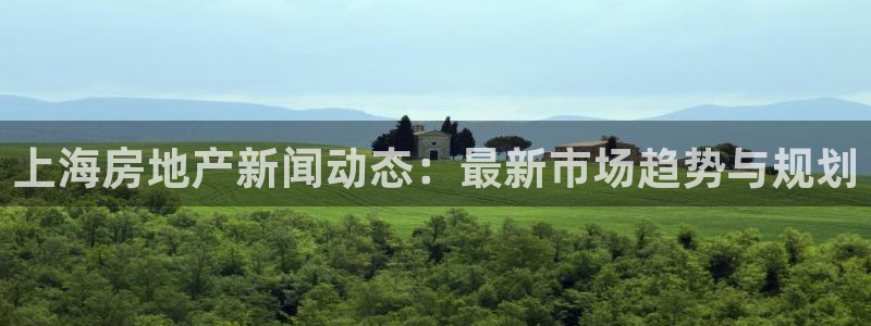 新宝5总代：上海房地产新闻动态：最新市场趋势与规划