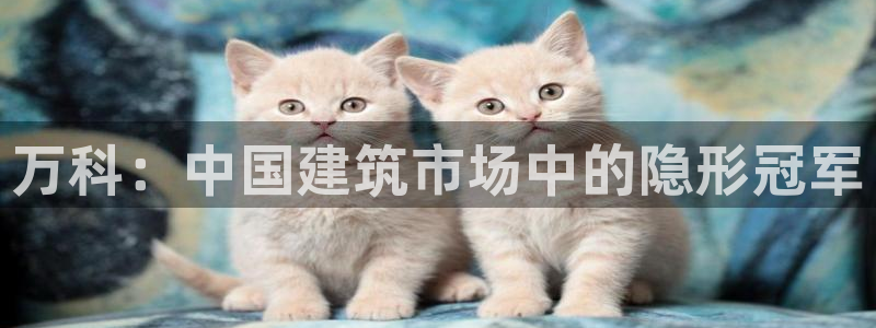 新宝5娱乐如：万科：中国建筑市场中的隐形冠军